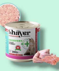 کنسرو ریکاوری گربه شایر مرغ و بوقلمون (Shayer)