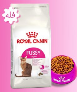 غذا خشک گربه رویال کنین اگزیجنت (Royal Canin Exigent)