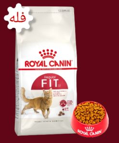 غذا خشک گربه رویال کنین فیت (Royal Canin Fit)